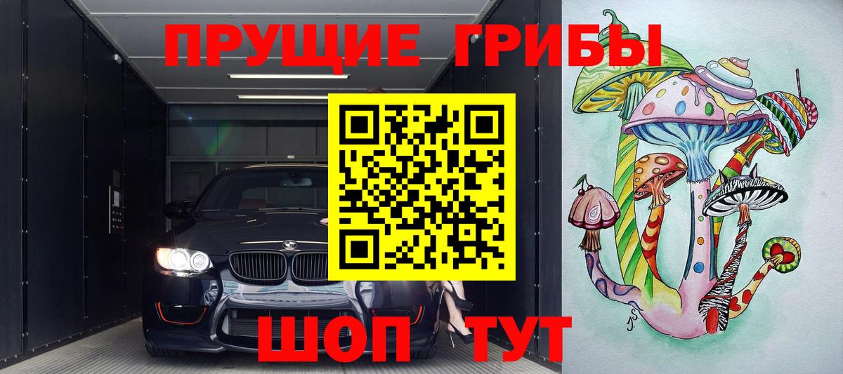 Галлюциногенные грибы MAGIC MUSHROOMS  Вход с VPN  Сургут  Галлюциногенные грибы Psilocybine cubensis 