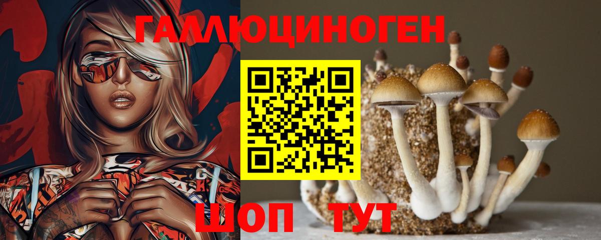 Псилоцибиновые грибы GOLDEN TEACHER Сургут